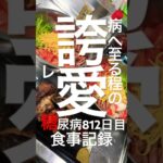 狂えないきみたちへ糖尿病812日目食事記録　#糖尿病の品格 #y2k