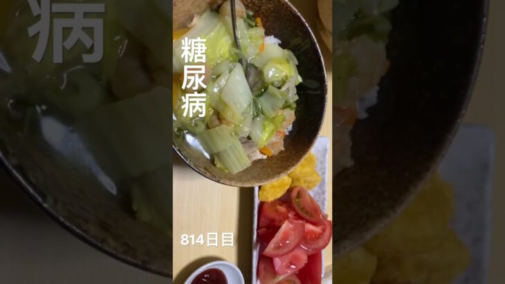 八宝菜丼とナゲットトマトセット食べた糖尿病814日目 #糖尿病 #糖尿病の品格 #food #cooking #diabetes #sugarrush