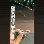 糖質制限815日目食事記録　半額乞食した柏餅 #糖尿病 #糖尿病の品格 #food #今日の晩ごはん #柏餅 #糖質制限 #あんこ #和菓子 #ダイエット #痩せる