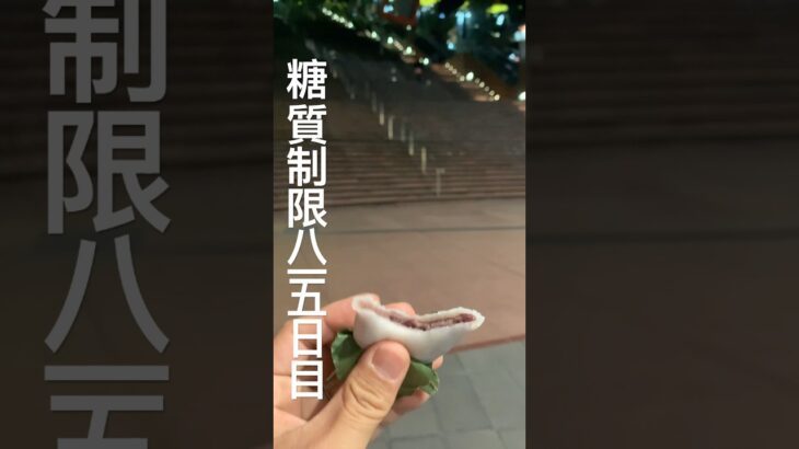 糖質制限815日目食事記録　半額乞食した柏餅 #糖尿病 #糖尿病の品格 #food #今日の晩ごはん #柏餅 #糖質制限 #あんこ #和菓子 #ダイエット #痩せる