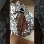 手作り冷凍焼き芋をすこし摘んだ糖尿病815日目食事記録 #糖尿病 #糖尿病の品格 #food #cooking #japanesefood