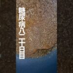 なんか色々食べた糖尿病820日目食事記録 #糖尿病 #food #japanesefood #心筋梗塞 #血糖値 #糖質制限 #糖質制限ダイエット #スシロー #セブンイレブン #4毒抜き #痛風