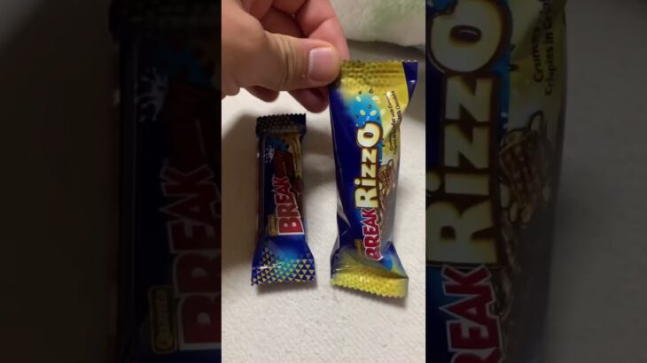 コストコの雑魚チョコのくせに825日目食事記録 #糖尿病