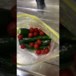 半額乞食したよくわからない浅漬けの素で作った浅漬け食べた糖尿病828日目食事記録 #糖尿病