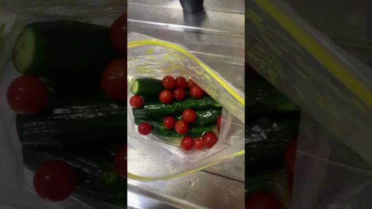 半額乞食したよくわからない浅漬けの素で作った浅漬け食べた糖尿病828日目食事記録 #糖尿病