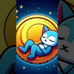 #ChortCoin #Solana #Crypto #MemeCoin #NFT #Airdrop