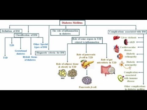 Classification of Diabetes Mellitus ; Type 1, Type 2, Gestational, Other Types