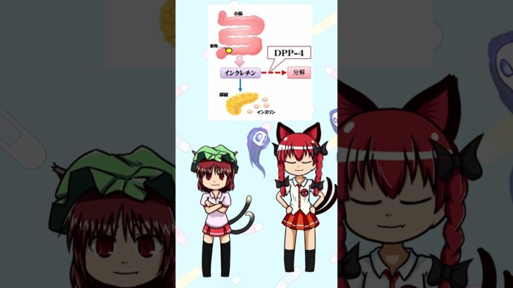 DPP 4#ゆっくり実況 Shorts ＃糖尿病薬 ＃ジペプチジルペプチダーゼ