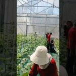 Dont worry #santri #nuruljadid #berkebun #petaniindonesia #teknikpertanian #hidroponik #nft #fyp
