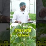 Grow Bag Technique और NFT कैसे अलग है और कौन सी है फ़ायदेमंद | Grow Bag Technique in Hydroponics