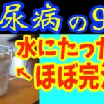 【糖尿病必見！】知らないと一生後悔！水に入れるだけで血糖値&HbA1cが下がる食べ物と避けるべき食べ方【ごっそり痩せる・便秘解消・代謝アップ・ダイエット効果・糖尿病・高齢者・血糖値】
