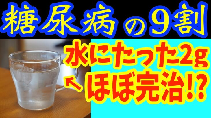 【糖尿病必見！】知らないと一生後悔！水に入れるだけで血糖値&HbA1cが下がる食べ物と避けるべき食べ方【ごっそり痩せる・便秘解消・代謝アップ・ダイエット効果・糖尿病・高齢者・血糖値】