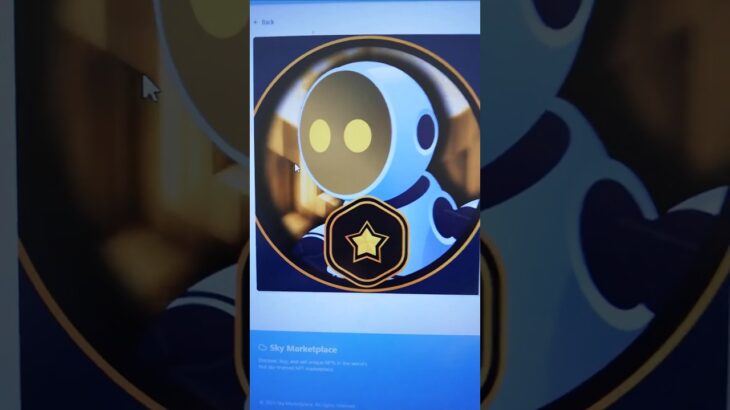 Legendary SKY Marketplace NFT Almost Ready!
