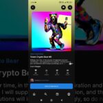 NFT Token Crypto Bear #9.