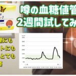 [検証]血糖値管理って⁉︎糖尿病の人がするものでは？NO!予防美容には血糖値管理は不可欠なんです！