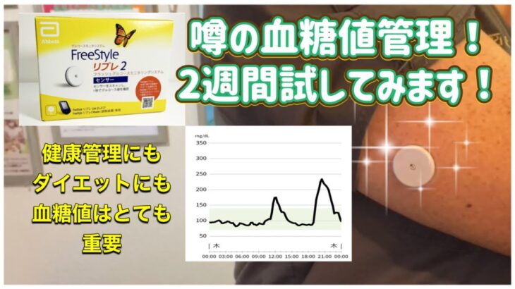 [検証]血糖値管理って⁉︎糖尿病の人がするものでは？NO!予防美容には血糖値管理は不可欠なんです！