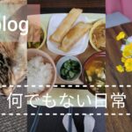 【何でもない日常】blogや糖尿食記録と子どものこと