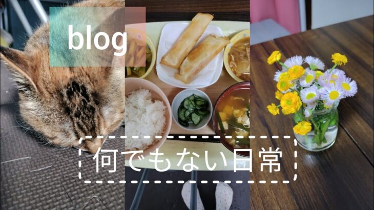 【何でもない日常】blogや糖尿食記録と子どものこと