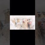 このアニメーションは湘南の海ごみから作った作品です　 #猫 #cat #nft #nfts #nftart #nftarts #nftartist #sdgs
