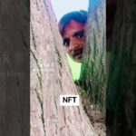 #funny NFT #veralshorts #nft 0.00