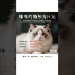 🐈 咪咪的糖尿病日記。📌想了解“寵物保險”👉賴：jimmy_fu#寵物險 #寵物保險 #毛孩醫療費 #醫療費 #寵物保險有感 #寵物健康 #寵物爸媽必看 #保險 #保障 #經濟壓力 #減輕負擔
