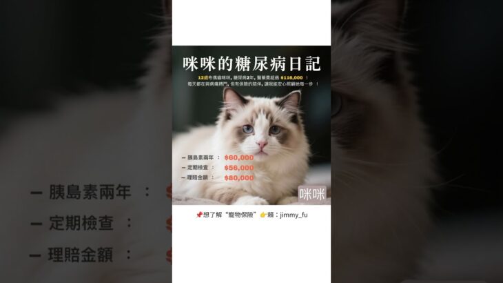 🐈 咪咪的糖尿病日記。📌想了解“寵物保險”👉賴：jimmy_fu#寵物險 #寵物保險 #毛孩醫療費 #醫療費 #寵物保險有感 #寵物健康 #寵物爸媽必看 #保險 #保障 #經濟壓力 #減輕負擔