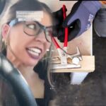 #music #midjourney #nft #fypage #aiart #pov #foryou #tools #funny #shorts #fypシ゚viral