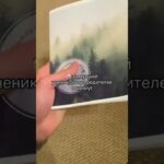 Поставил ИХ на МЕСТО😂 #nft #обучение #абуз (ты можешь так же в моем тг канале)