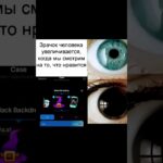 nft gifts телеграм подарки #gifts #лакиджет #telegram #stars #nftgifts