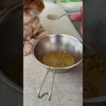 【ねこのロデム】糖尿病で食欲が無いロデムにスペシャルフードを作ってあげたけど…。#ねこのロデム #ねこのいる生活 #トカイナカで猫と暮らす #shorts