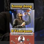 snoop doog купил подарки nft в телеграм gifts Telegram  #snoopdoog  #TelegramNFT #telegramgifts