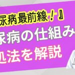 【糖尿病最前線！】Ⅰ型やⅡ型など糖尿病の仕組み、対処方法について詳しく解説します/ヘルスケア/生活習慣