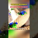 我國研發再生胰島移植技術，成功治癒有嚴重糖尿病的患者👍