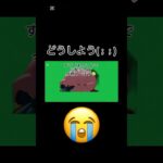 もしかしたら糖尿病かも😭#カービィ超大好き #カービィミーム