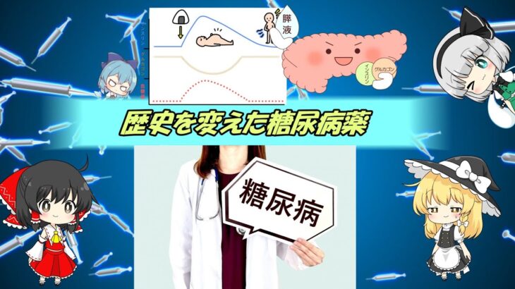 時代を変えた糖尿病薬【ゆっくり解説】