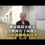 糖尿病其实就是脾肾出了问题中医降糖更有优势