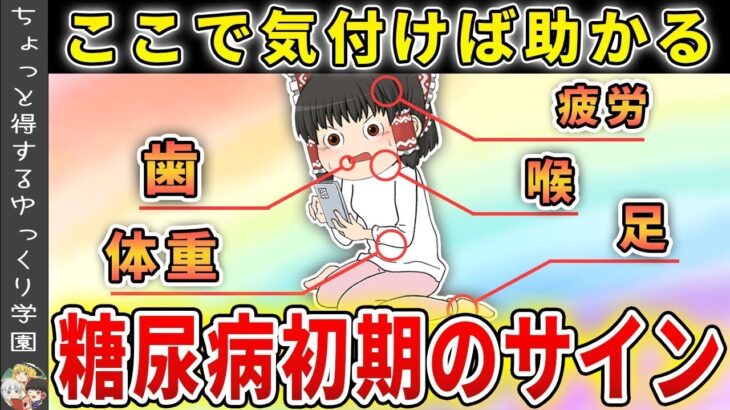 【これを過ぎたらアウト】まだ助かる可能性がある糖尿病初期のサインと、すでに進行してしまってるサイン【ゆっくり解説】