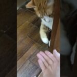 糖尿病があると起床時眩しい