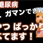 糖尿病の人のおやつって何がいいの？最近コレを食べてます！