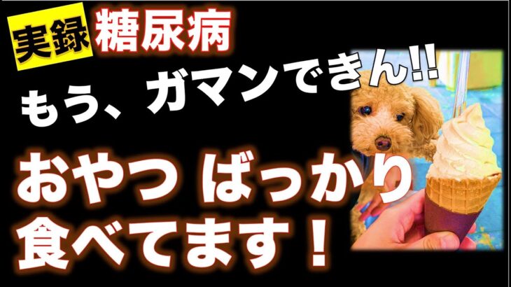 糖尿病の人のおやつって何がいいの？最近コレを食べてます！