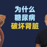 为什么糖尿病会破坏肾脏以及如何预防和管理