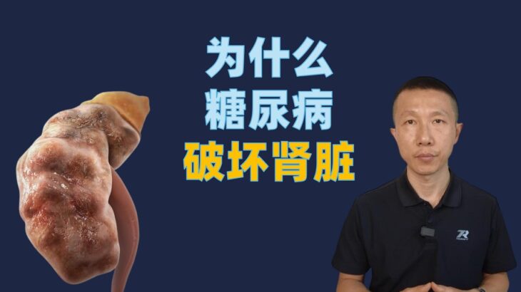 为什么糖尿病会破坏肾脏以及如何预防和管理
