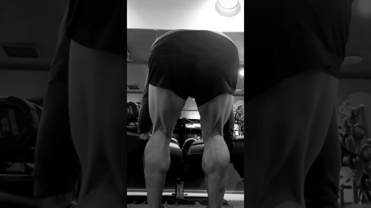 糖尿病患者ハムトレ