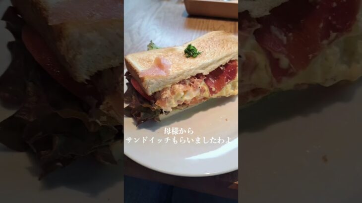 外食は血糖値爆上がり？！？！#1型糖尿病 #糖尿病　#インスリンポンプ　#インスリン　#インスリン注射　#大学生　#女子大生#大食い#vlog #日常