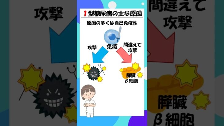糖尿病1型と2型の違い #shorts