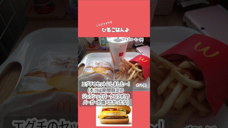 【投薬無し2型糖尿病】【どうしてもマックが食べたい】生理中で理性弱めな休日ご飯