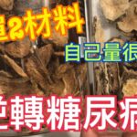 逆轉糖尿病🔥簡單2材料👍🏻真實分享驗血糖過程，自己驗也很簡單