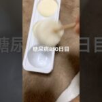 2025年夏のマイトレンド雪見だいふく食べた糖尿病850日目食事記録 #糖尿病 #糖尿病の品格 #血糖値 #4毒抜き #糖質制限 #脂質制限 #雪見だいふく #おやつ #japanesefood