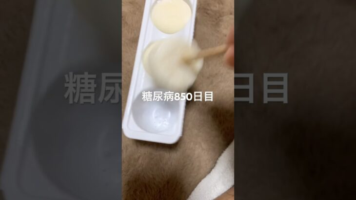2025年夏のマイトレンド雪見だいふく食べた糖尿病850日目食事記録 #糖尿病 #糖尿病の品格 #血糖値 #4毒抜き #糖質制限 #脂質制限 #雪見だいふく #おやつ #japanesefood