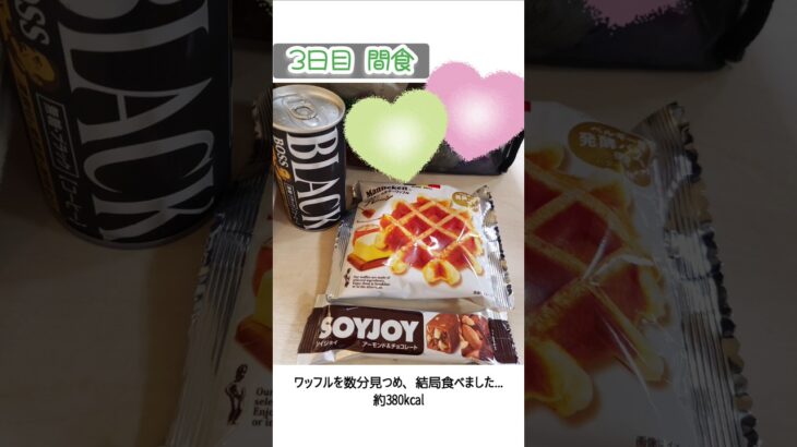 【投薬なし2型糖尿病女の日常】全日おやつを食べ過ぎた3連勤の食事内容